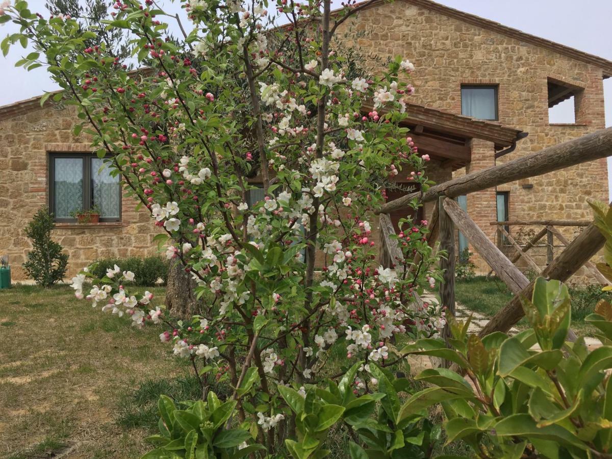 Residenza Al Poggio Degli Ulivi Villa Montepulciano Stazione Eksteriør billede